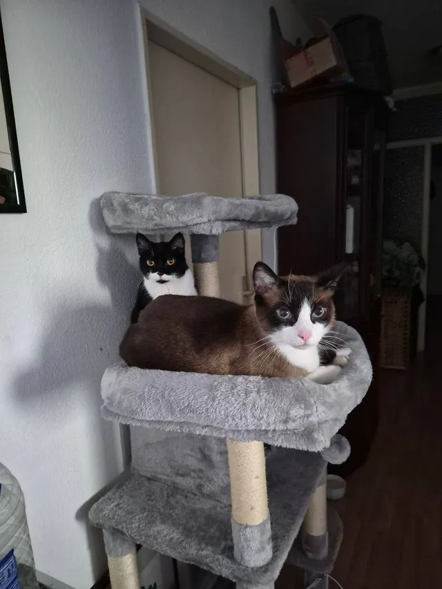 Valdomero & Nora